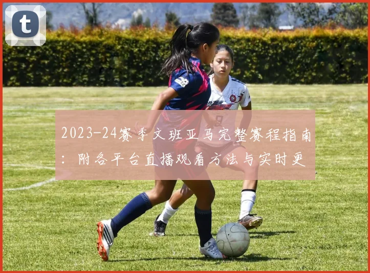 2023-24赛季文班亚马完整赛程指南：附各平台直播观看方法与实时更新渠道