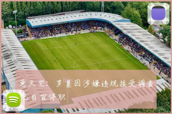 意天空：罗基因涉嫌违规接受调查 已自宣停职