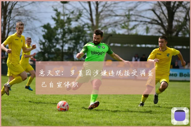 意天空：罗基因涉嫌违规接受调查 已自宣停职